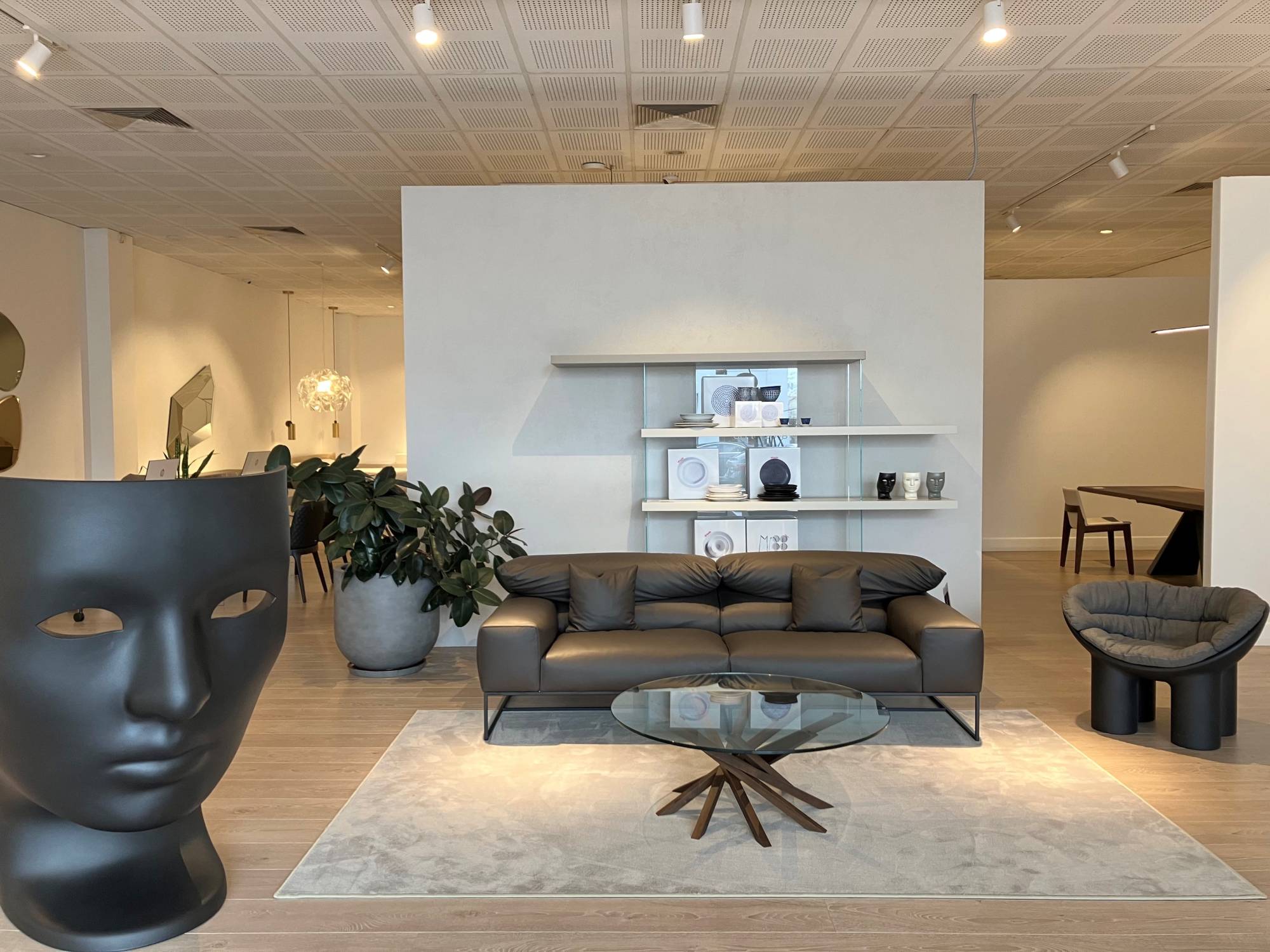 forever_young_sofa_erba_idea_interior_design_project_recline_movimentation_comfort_01